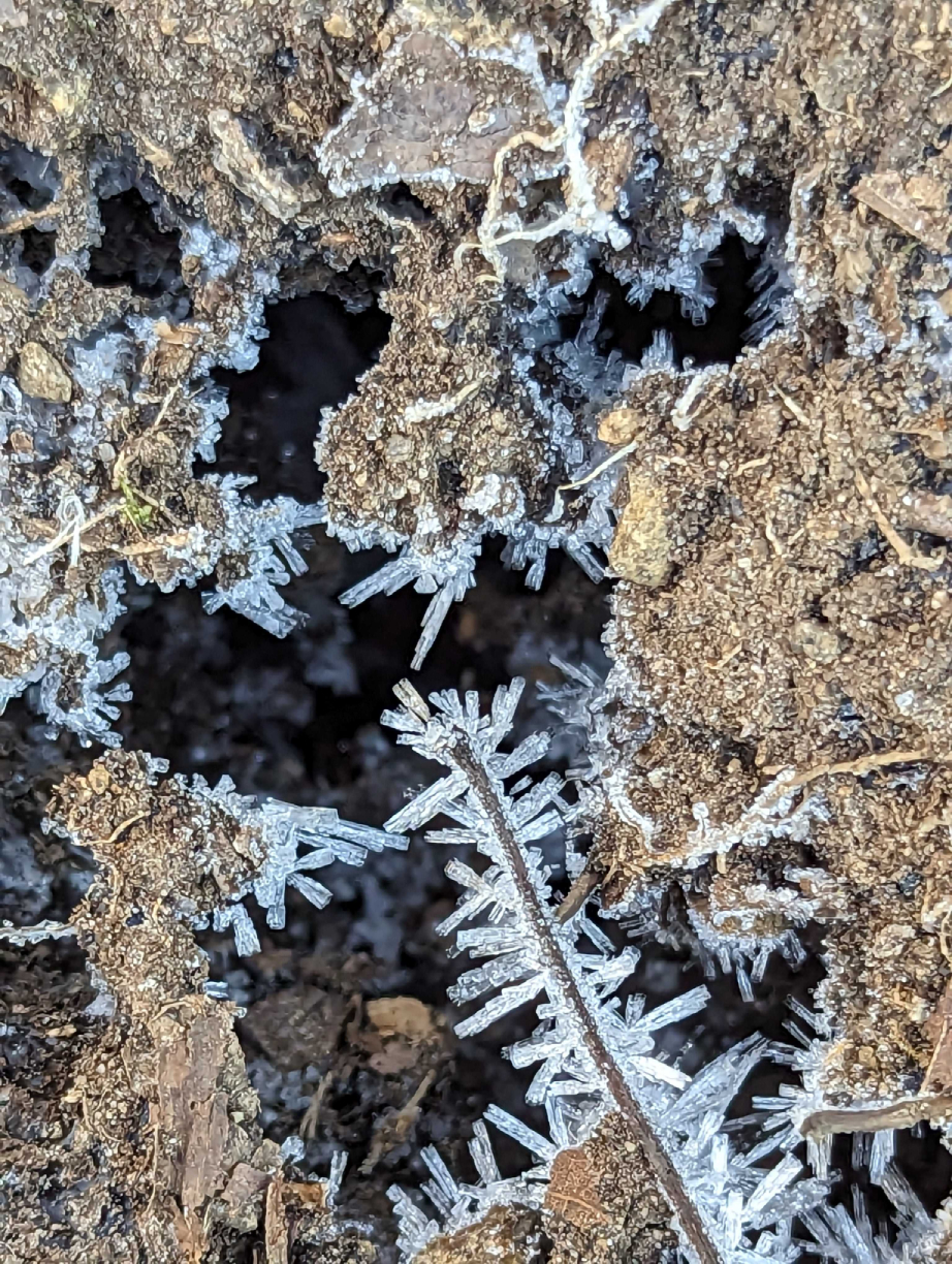 Ice crystals