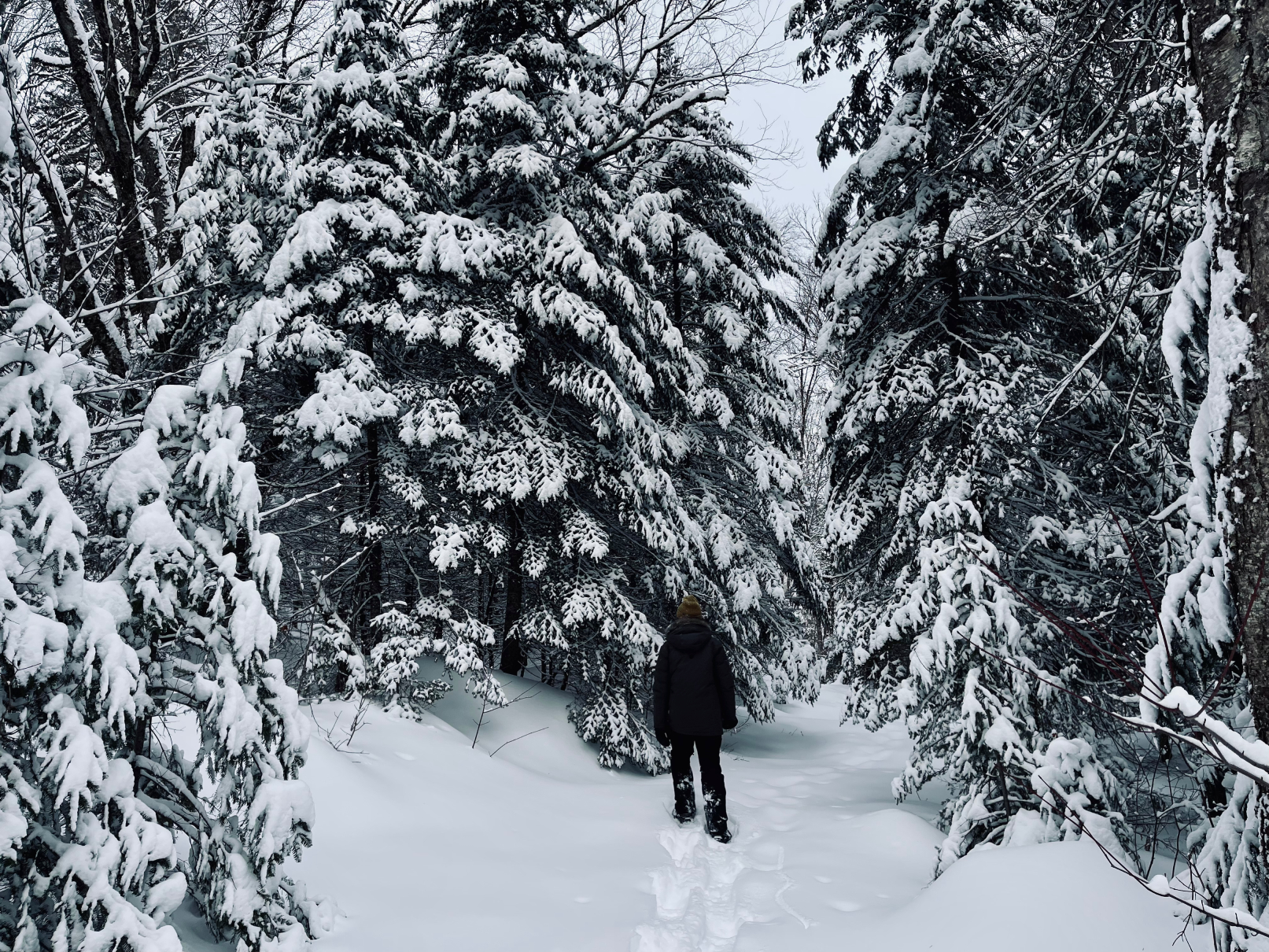 Snowshoeing